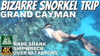 2023 Grand Cayman Bizarre Snorkel Trip in 4K