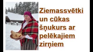 Ziemassvētki un cūkas šņukurs ar pelēkajiem zirņiem - EuRiCa