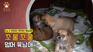 Ep.3 어미와 젖먹이 육남매