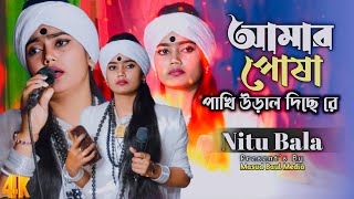 আমার পোষা পাখি | নিতুবালা | Amar Posha Pakhi | Nitu bala | sad bangla song 2025 | Masud Baul Media