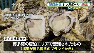 特産品「唐泊かき」シンガポールへ進出　福岡市