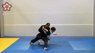 Waki Gatame Takedown - Kyushin Ryu Jujitsu