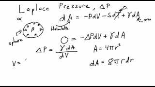 Laplace pressure