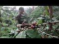 Berkunjung ke kebun kopi gunung gagak