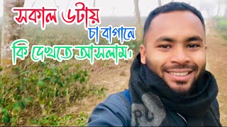 সকাল ৬টায় চা বাগানে সৌন্দর্য দেখলা।