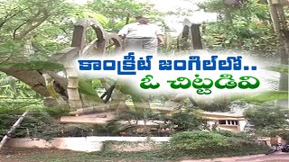 A House With Thousands of Plants | Gardening at Home | Guntur