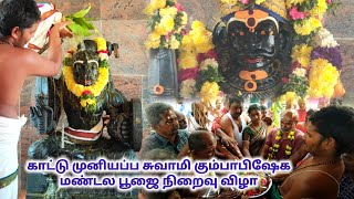 அம்மாபேட்டை ஸ்ரீ காட்டு முனியப்ப சுவாமி கும்பாபிஷேக மண்டல பூஜை நிறைவு விழா சிறப்பாக நடைபெற்றது