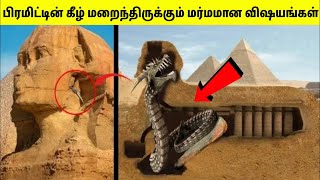 எகிப்தில் இரகசிய அறையில் மர்மமான கண்டுபிடிப்புகள் | Mystery Inside Pyramid | TAMIL AMAZING FACTS