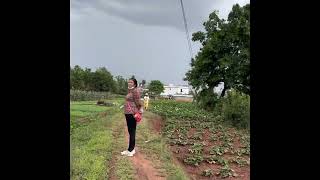 Countryside of Kokang ကိုးကန့် လောက်ကိုက်မြို့ပြင်စိုက်ခင်းများ 果敢老街郊區菜園