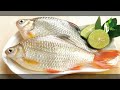 rajputi fish । যে কোন পুকুরে চাষ করা যায় । সহজ চাষ ব্যবস্থাপনা