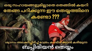 തെങ്ങിൽ കയറുന്ന ബപ്പിരിയൻ തെയ്യം | Bappiriyan Theyyam | Muchiriyan Kavu, Azhikode. #theyyam