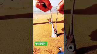 আহ কি সুমধুর কন্ঠ অপরূপ সৌন্দর্য #সট_ভিডিও #sabscribe #view #alheraislamiccenter #surahbaqarah