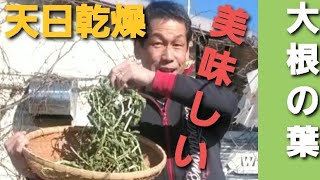 《大根の葉を乾燥【前編】#286》【自然の暮らし/50代vlog】自然栽培/天日乾燥/焙煎/粉砕