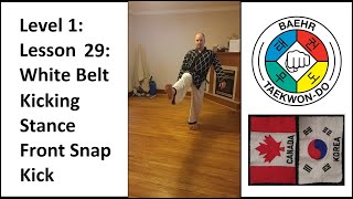 Baehr Taekwondo: Lesson 01-29: White Belt: Kicking Stance - Front Snap Kick