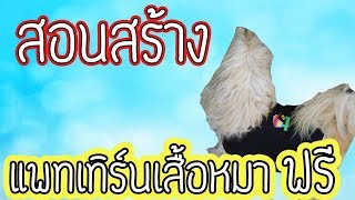 love dog l สอนสร้าง แพทเทิร์นเสื้อหมา ฟรี แบบเข้าใจง่ายเหมือนจับมือทำไม่มีกั๊ก