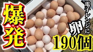 190 eggs were put in a microwave. Do you explode?