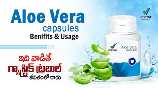 Vestige Aloe Vera Benifits Telugu | Aloe Vera Benefits | Vestige Aloe Vera Teugu | #VestigeAloeVera