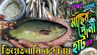 ঈদ উপলক্ষে  মূল্য ছাড়ে থাই/দেশি/ভিয়েতনাম কৈ মাছের পোনা চাষ পদ্ধতি ও দাম।