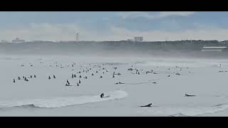 ２０２３年１０月１０日（火）江ノ島～鵠沼海岸：雨が降ったりやんだりしています。風は弱めで波は膝～腰くらい。