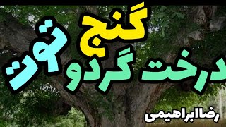 گنج درخت گردو گنج درخت توت گنج درخت گلابی گنج درخت منزل خان باغ خان رضاابراهیمی