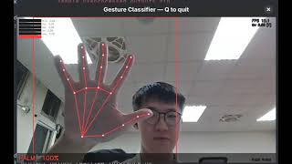 Hand Gesture Classification Demo