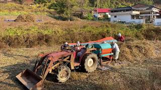 작은빛농원 콩타작 콩수확 soybean harvesting 2