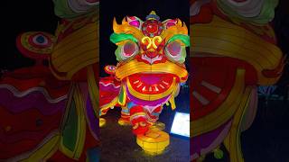 Asian Lantern Festival Central Florida Zoo #orlando #florida