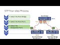 Spanning Tree Protocol (IEEE 802.1D): STP a Four-step Process | STP Overview | STP Tutorial (Part 2)
