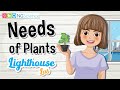 Lighthouse Lab – Needs of Plants