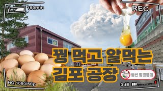 (매각 완료) [경매 221] - 뀡 먹고 알 먹는 김포 공장