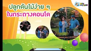 ปลูกต้นไม้ง่าย ๆ ในกระถางคอนโด  | ด.เด็กคิดดี ThaiPBS Kids Day 2565