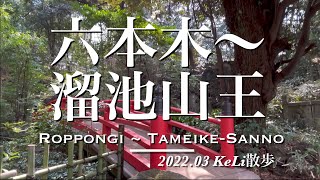 【4K】六本木駅から溜池山王駅までお散歩しました！Walking from Roppongi Sta. to Tameike-Sanno Sta.!