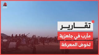 مأرب في جاهزية لخوض معركة الخلاص