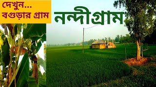 গ্রাম গঞ্জের ভিডিও | বগুড়ার নন্দীগ্রাম | Beautiful Village of Bangladesh |Beautiful Village scenery