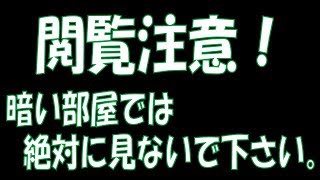 【食品スーパー】 【スーパーマーケット】 ２３年前の惨殺事件。。。－VRお化け屋敷 呪刻列車ー ☆熊本県人吉球磨のスーパーマーケット★ 食品スーパー Japanese supermarket 人吉