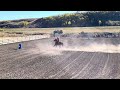 17 year old Barrel Horse