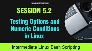 Master Linux Bash Scripting: Session 5.2 - Testing Options and Numeric Conditions