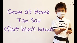 Tan Sau Shape with Mindful Wing Chun