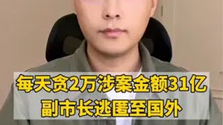 鸡西市原副市长李传良外逃案法律分析外逃鸡西原副市长涉案逾31亿 引渡 热点新闻事件 律师普法 法律