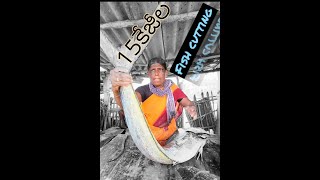 15  కేజీ ల పెద్ద fish cutting