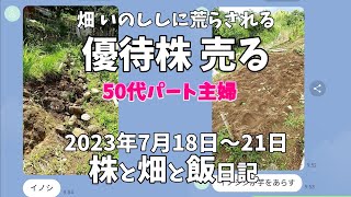 【☆株主優待株売る☆】2023年7月18日～21日の株取引記録//【５０代パート主婦】畑 いのししに荒らされる！映えない夕食作り