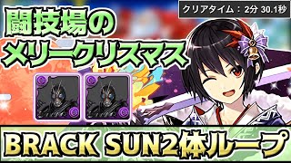 【パズドラ 】闘技場のメリークリスマス！闇セリカリーダーのブラックサン２体ループ編成！【闘技場のメリークリスマス】