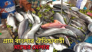 ঐতিহ্যবাহী কুমিল্লা পদুয়া বাজার বিশ্বরোড মাছের হাট । পদুয়া বাজার হাট ।  মাছের হাট ।  বিশ্বরোড