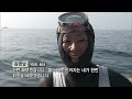 바닷속 100미터 수직절벽 환경스페셜 ‘블루코너’ kbs 20080514 방송