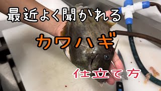 最近よく聞かれる『カワハギ』仕立て方vol.556