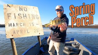 Open Water Spring Perch Fishing