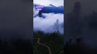 #வால்பாறை #மலைகளின் இளவரசி #valparai #naturalplace #coolplace#touristplace #love