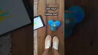Follow the Leader Coding Activity with Dash Robot