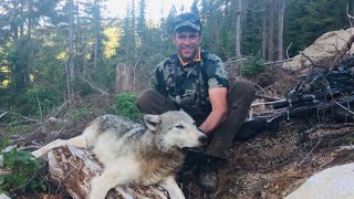 WOLF HUNTING IN IDAHO!!! - Stuck N the Rut 110