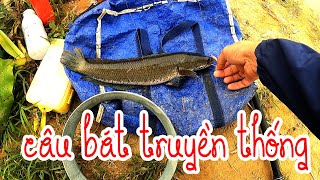 Câu Cá Lóc Truyền Thống|Câu Cá Lóc Bằng Bát|Nghệ An Fishing